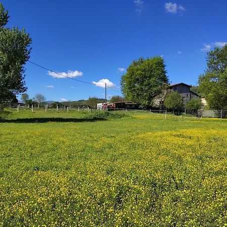 Rezzano La Baia Dei Lupi B&B 외부 사진