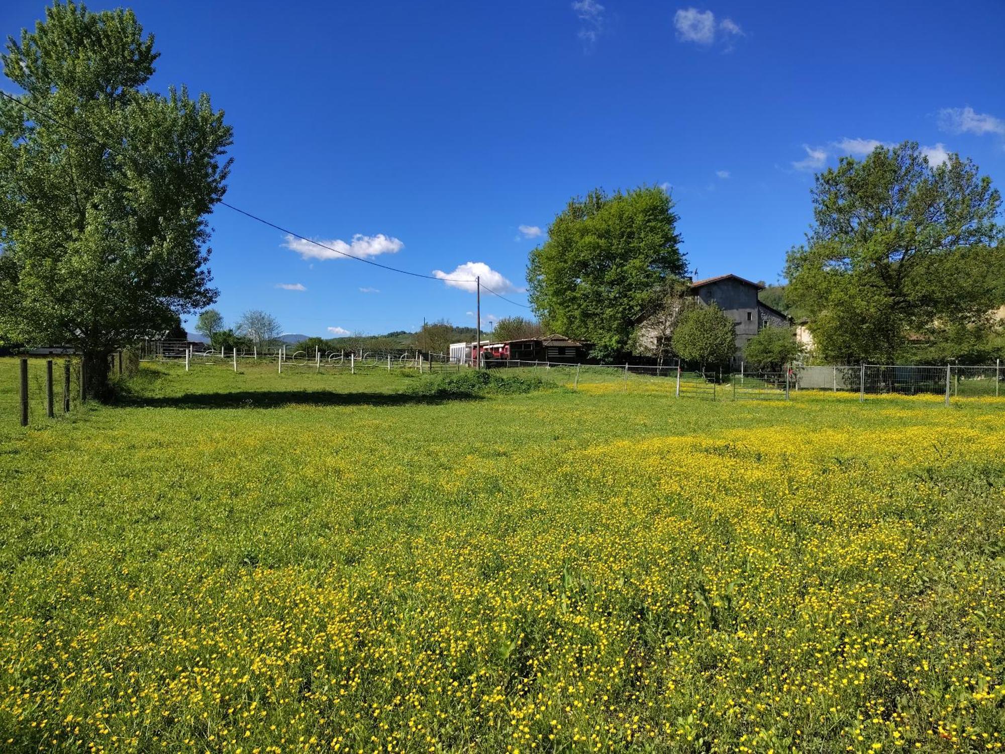 Rezzano La Baia Dei Lupi B&B 외부 사진