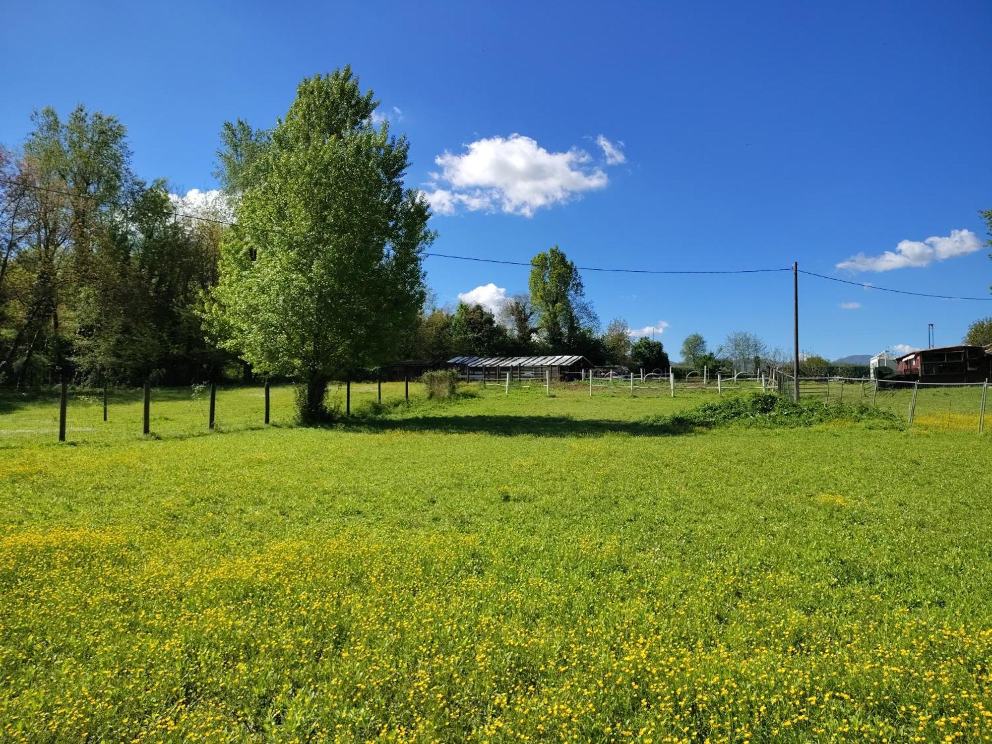 Rezzano La Baia Dei Lupi B&B 외부 사진
